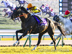 ジャンタルマンタル(2021) - Jantar Mantar | 競走成績 | 競馬ブック