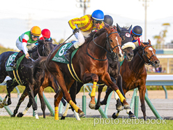 シェイクユアハート(2020) - Shake Your Heart | 競走成績 | 競馬ブック