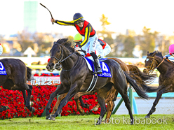 ミュージアムマイル(2022) - Museum Mile | 競走成績 | 競馬ブック