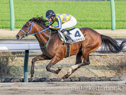サムシャイン(2022) - Sum Shine | 競走成績 | 競馬ブック