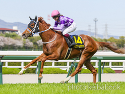 ジュウリョクピエロ【競馬フィギュア】 ジュウリョクピエロ(2023) - Juryoku Pierrot | 競走成績 | 競馬ブック