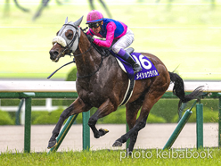 メイショウタバル(2021) - Meisho Tabaru | 競走成績 | 競馬ブック