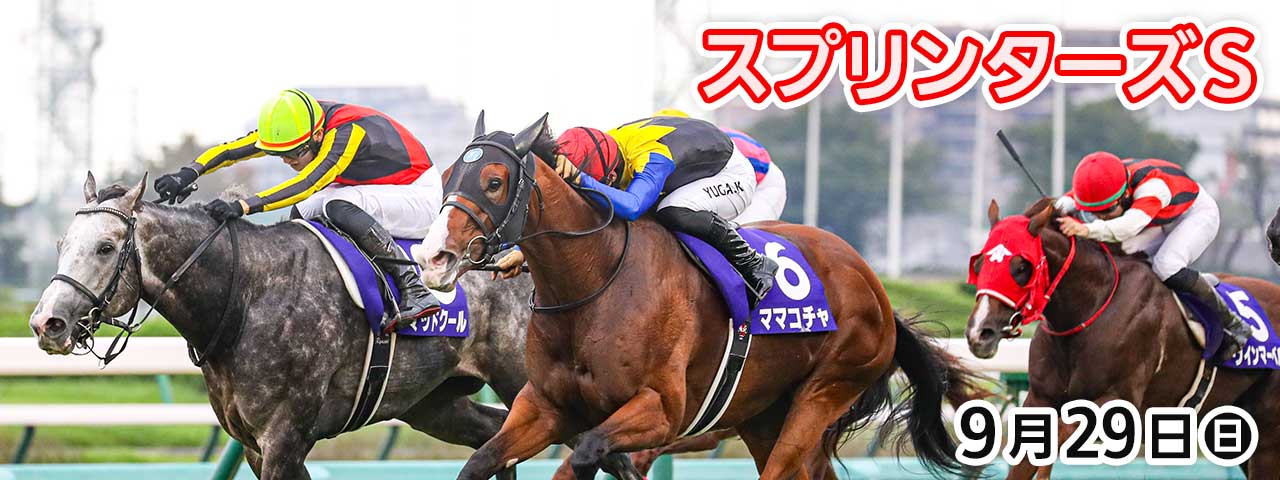 中央競馬G1レース2004~2008年 中央競馬G1レース2004~2008年