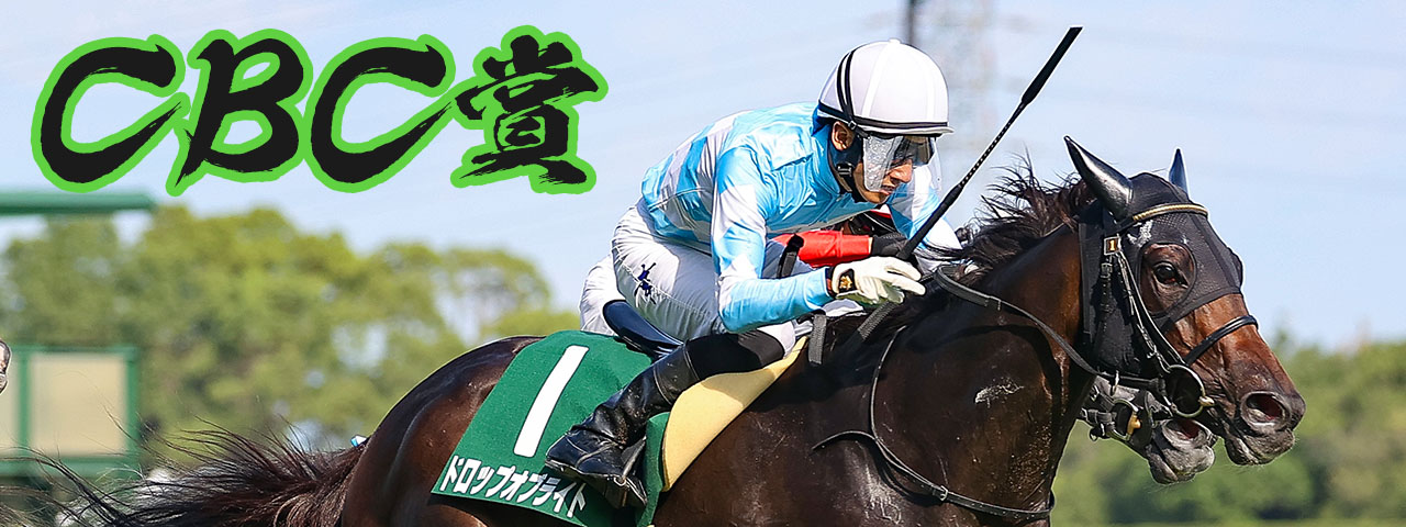 ミスターシービー　写真集　競馬　成績表付き 写真集ミスターシービー〈別紙 成績表付〉競馬