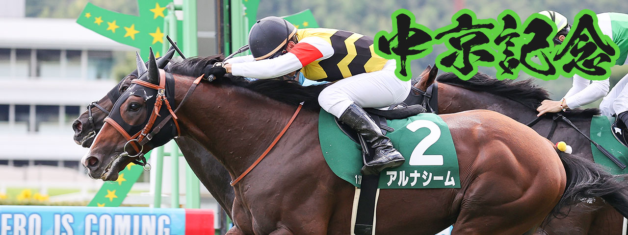早い者勝ち!!残り一冊!!非売品競馬出目本で万馬券をgetしよう!! WIN5 爆万的中バイブル (競馬ベスト新書 8) | 柿谷 陽介 |本