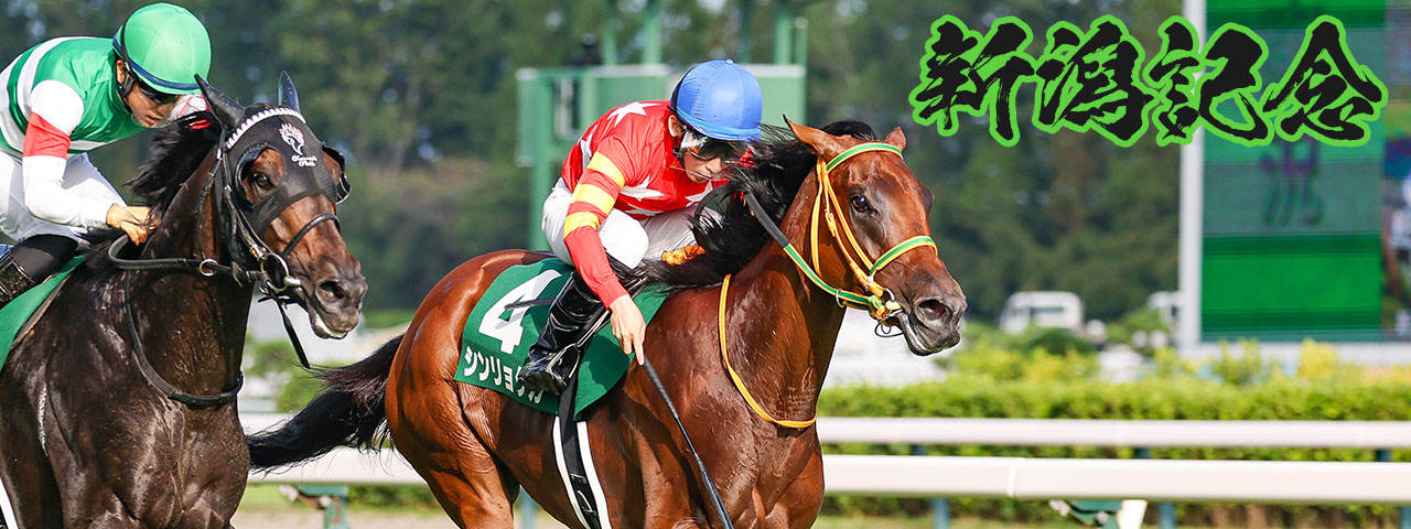 写真集ミスターシービー〈別紙 成績表付〉競馬 写真集ミスターシービー〈別紙 成績表付〉競馬 写真集