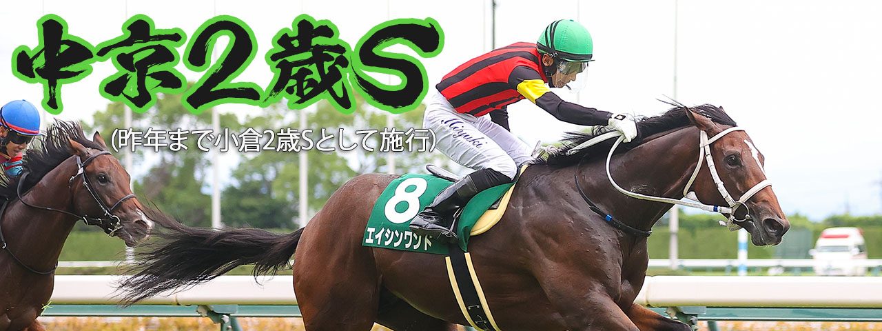 写真集ミスターシービー〈別紙 成績表付〉競馬 写真集ミスターシービー〈別紙 成績表付〉競馬 本・雑誌・写真集