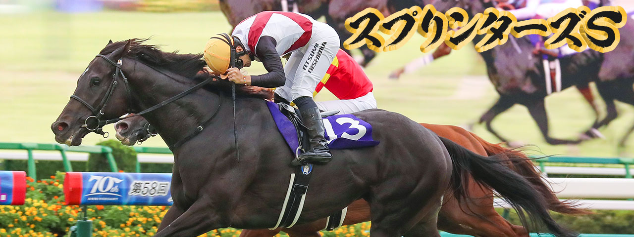 競走馬ハンドブック = THE RACEHORSE HANDBOOK 競走馬ハンドブック = THE RACEHORSE HANDBOOK - メルカリ