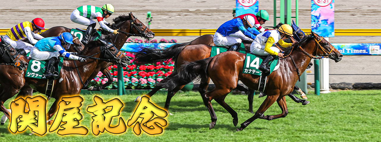 競馬ブック－専門紙が送る充実の競馬情報サイト