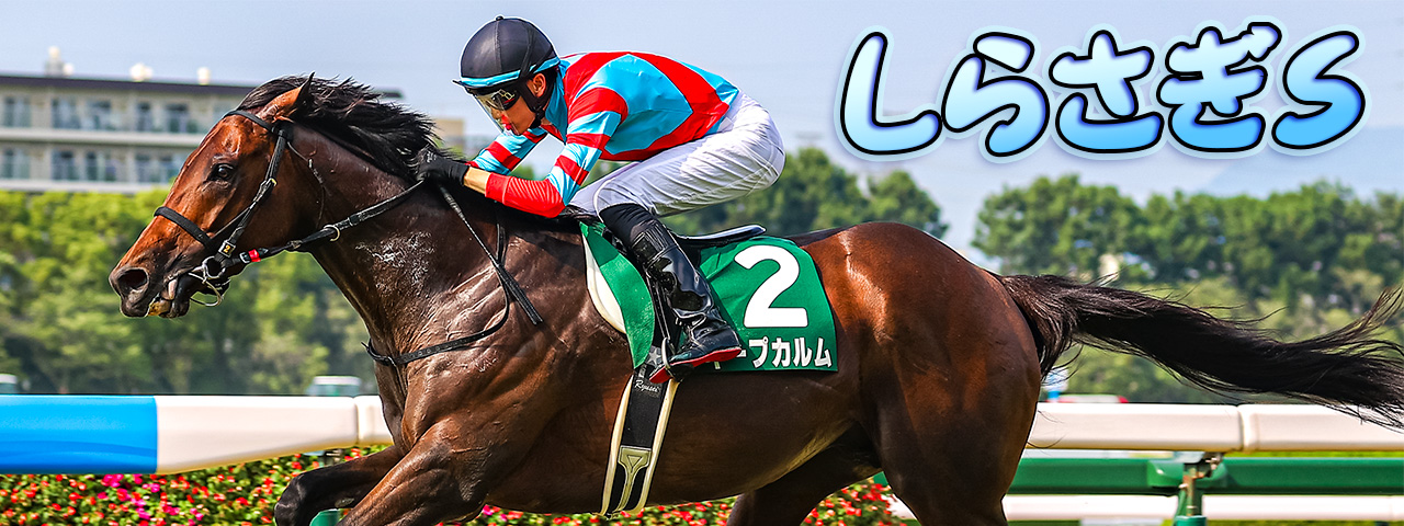 競馬ブック－専門紙が送る充実の競馬情報サイト