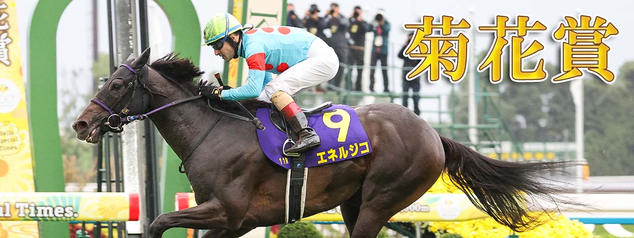 競馬ブック－専門紙が送る充実の競馬情報サイト