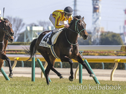 吉田 千津 | 馬主 | 競馬ブック